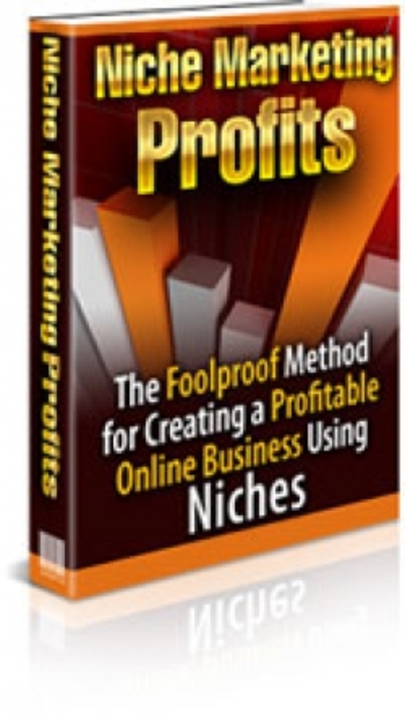Product picture Niche Marketing Profits 